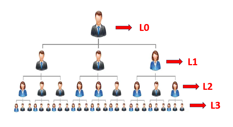 MLM software dashboard